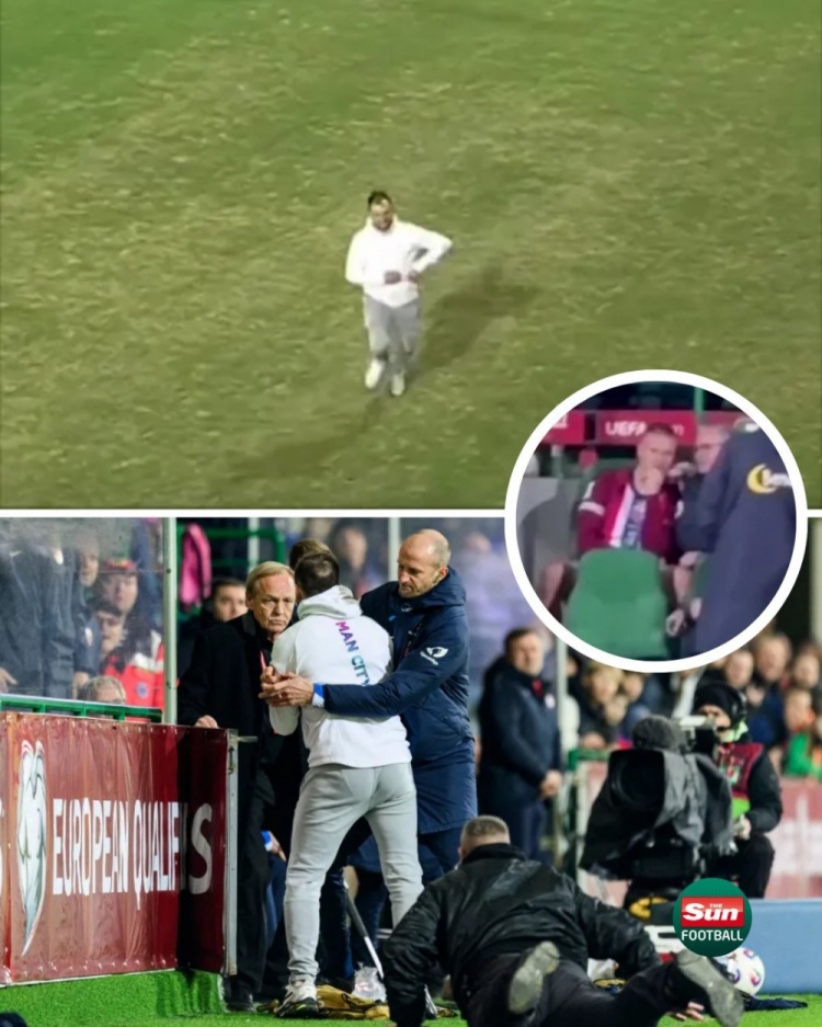 太陽(yáng)報(bào)：在挪威和摩爾多瓦的比賽中，一球迷試圖沖入球場(chǎng)找哈蘭德