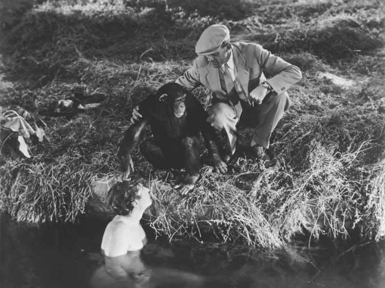 引發(fā)爭(zhēng)議！葡媒：南美足協(xié)主席將巴西球隊(duì)比作人猿泰山的猩猩伙伴