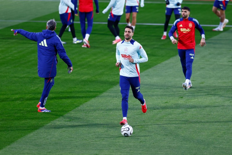 梅里諾：開始適應(yīng)中鋒的位置，在國家隊(duì)有機(jī)會(huì)觀察勞爾-阿森西奧